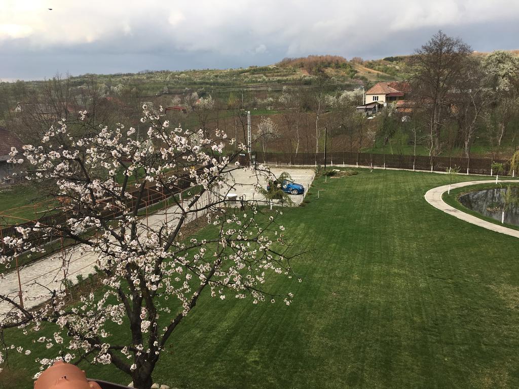 Pensiunea Amurg Mesesenii de Sus Luaran gambar